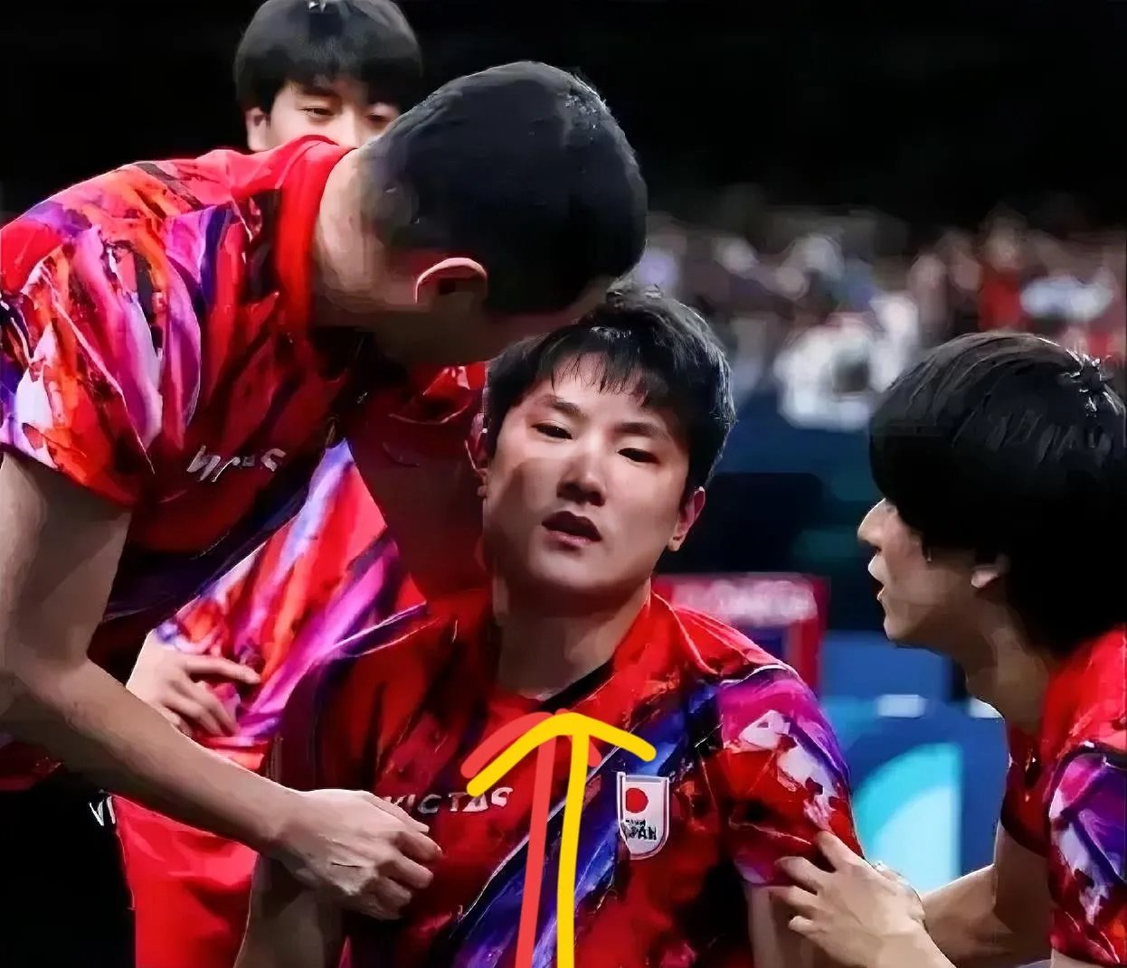 开云体育登录-中国乒乓球队横扫奥地利乒乓球队，张本智和制霸全场的简单介绍